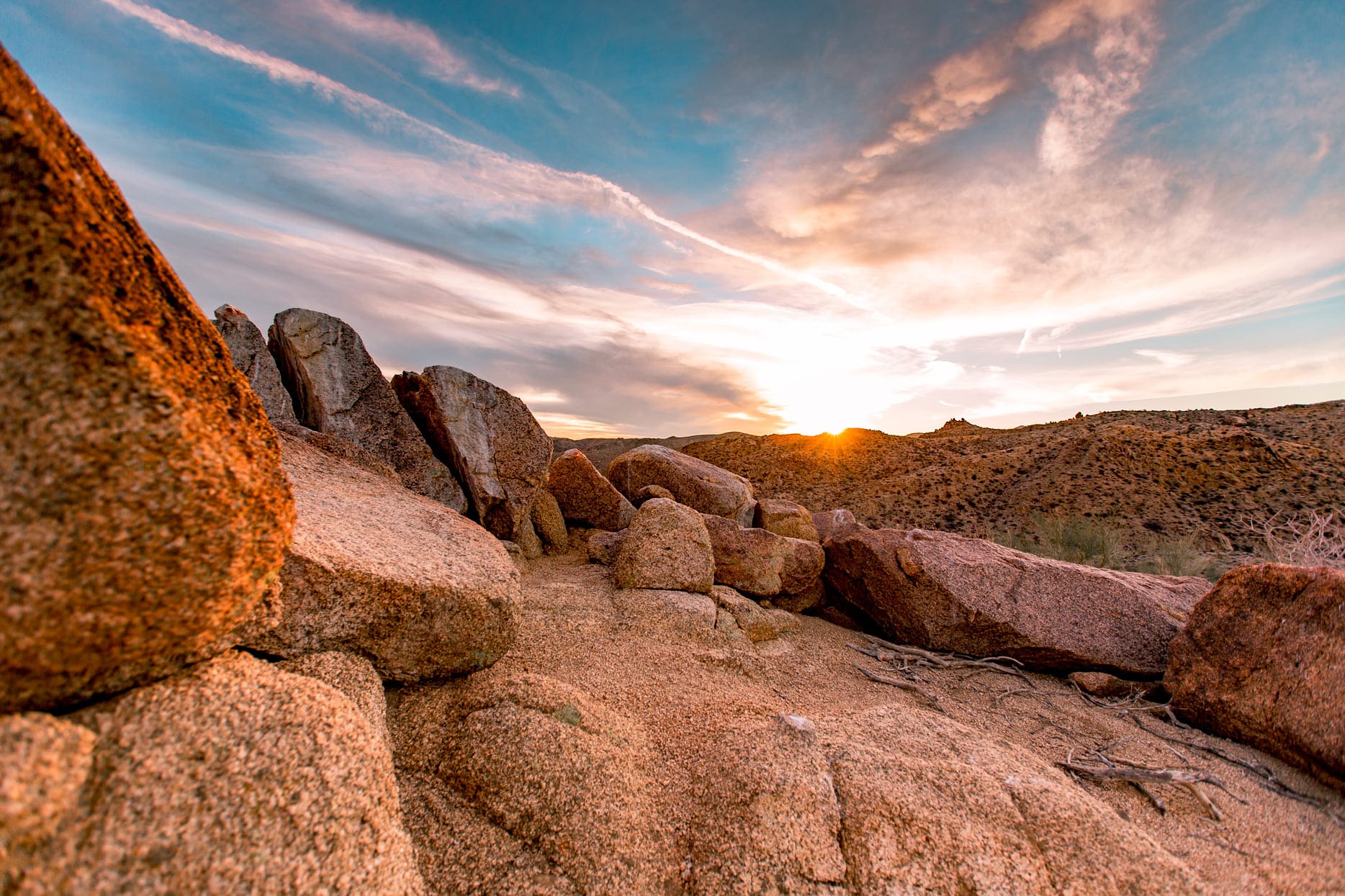 best time to visit joshua tree national park