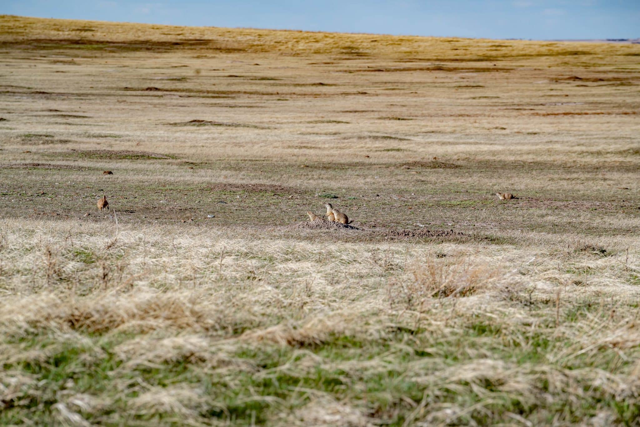 badlands national park more than just parks
