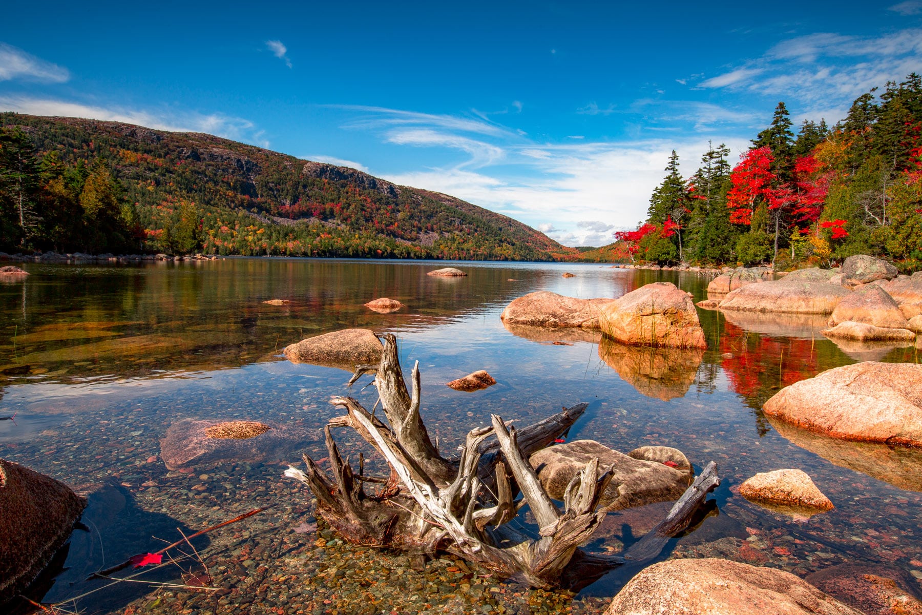 acadia national park in the fall