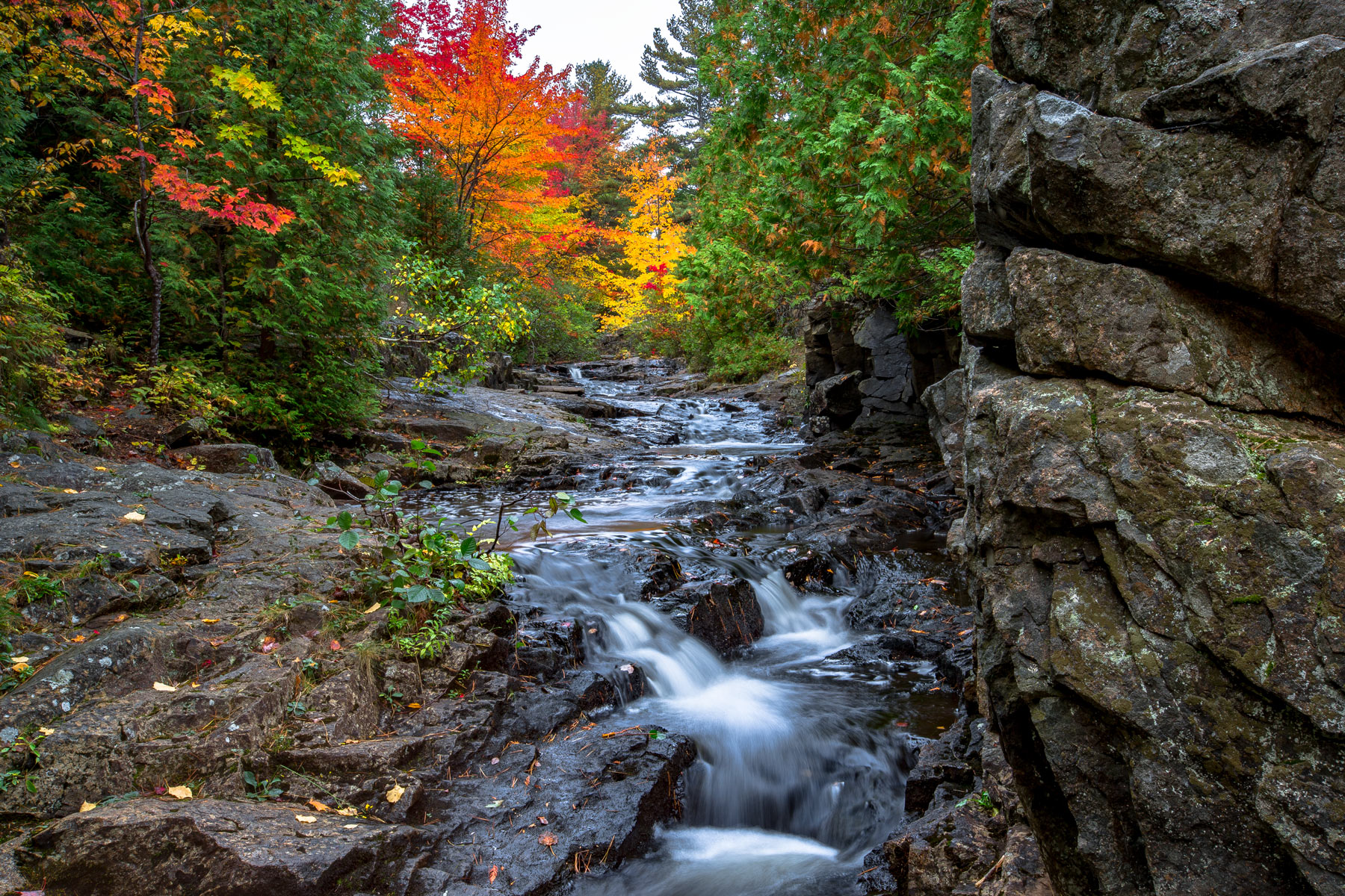 Fall in Acadia National Park | National Parks Near Boston