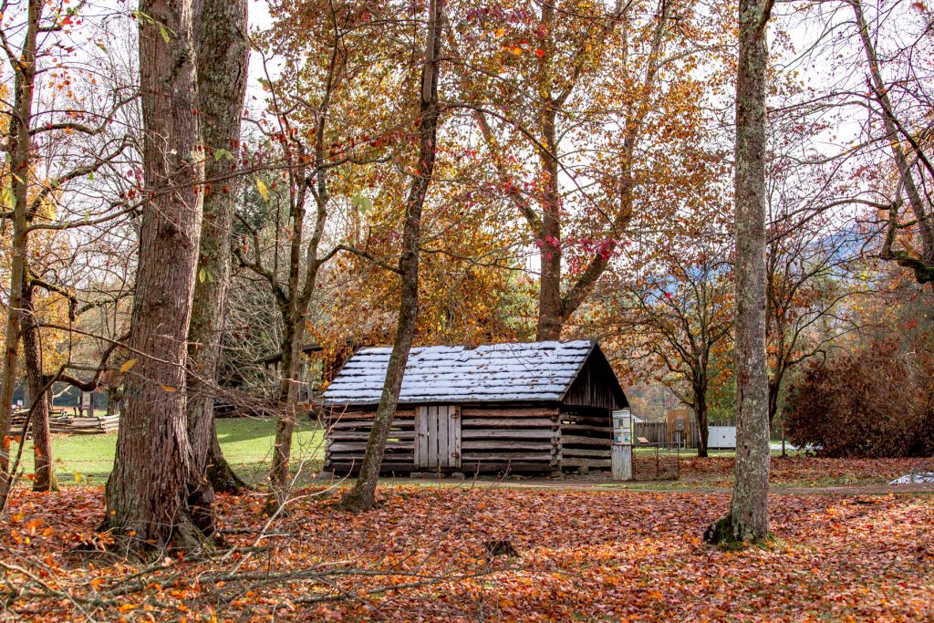 Historic Cabin in Great Smoky Mountains