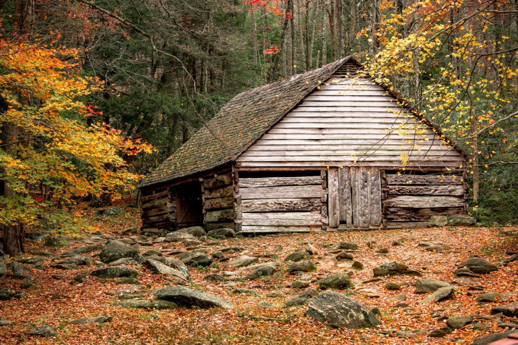 A cabin in fall - more than just parks