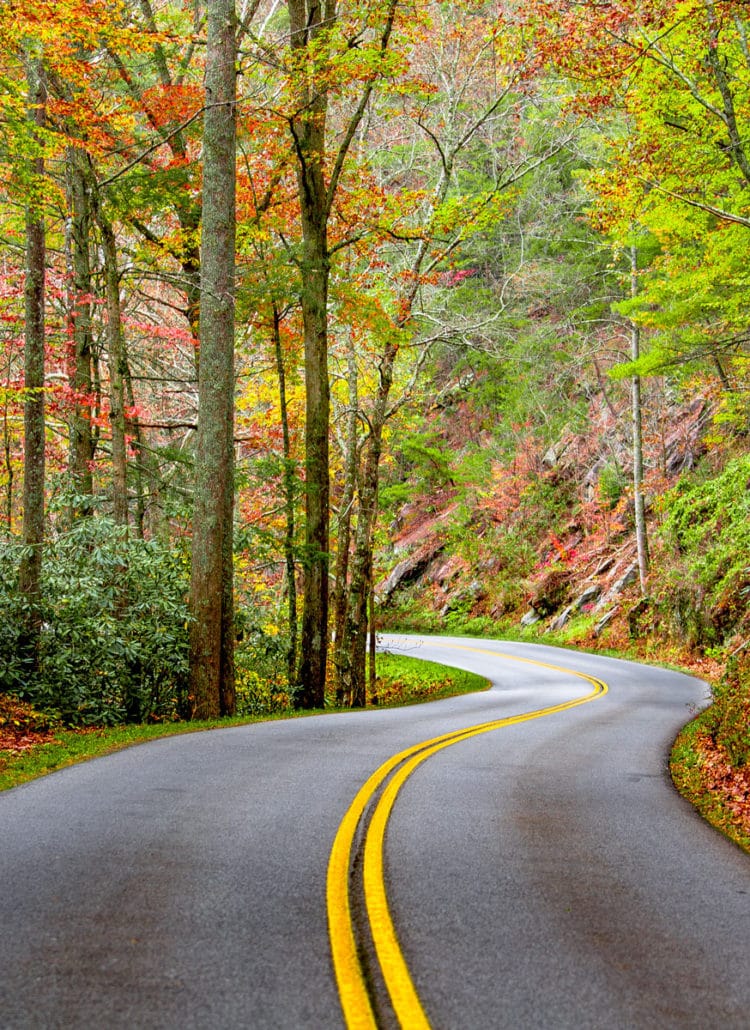 best national parks fall, road trips usa, Great Smoky Mountains National Park North Carolina Tennessee