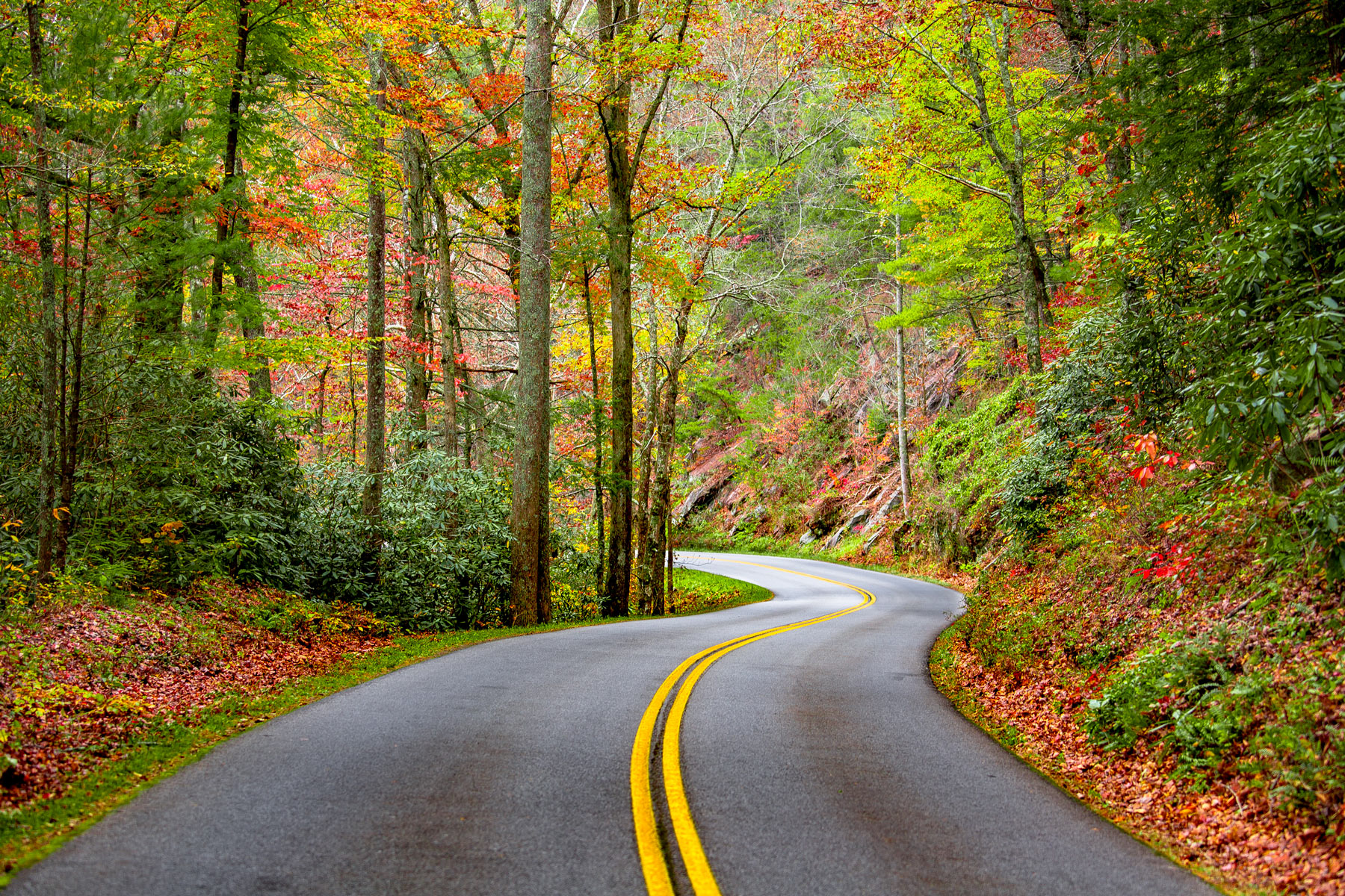 road trips usa, Great Smoky Mountains National Park North Carolina Tennessee