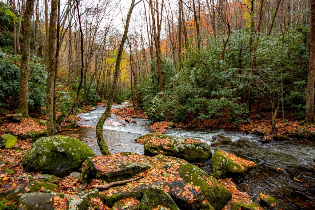 Great Smoky Mountains National Park | National Parks Near Raleigh