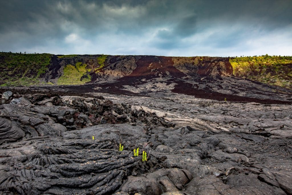 lava field hawaii volcanoes national park