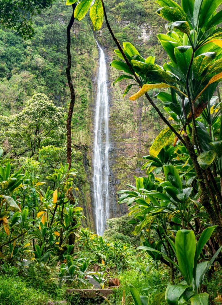 waimoku falls, haleakala national park waterfall maui, hawaii, pipiwai trail