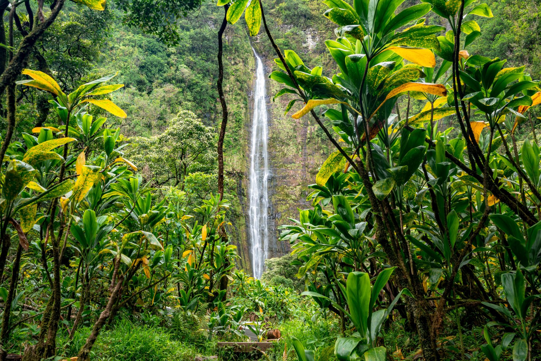 waimoku falls, haleakala national park waterfall maui, hawaii