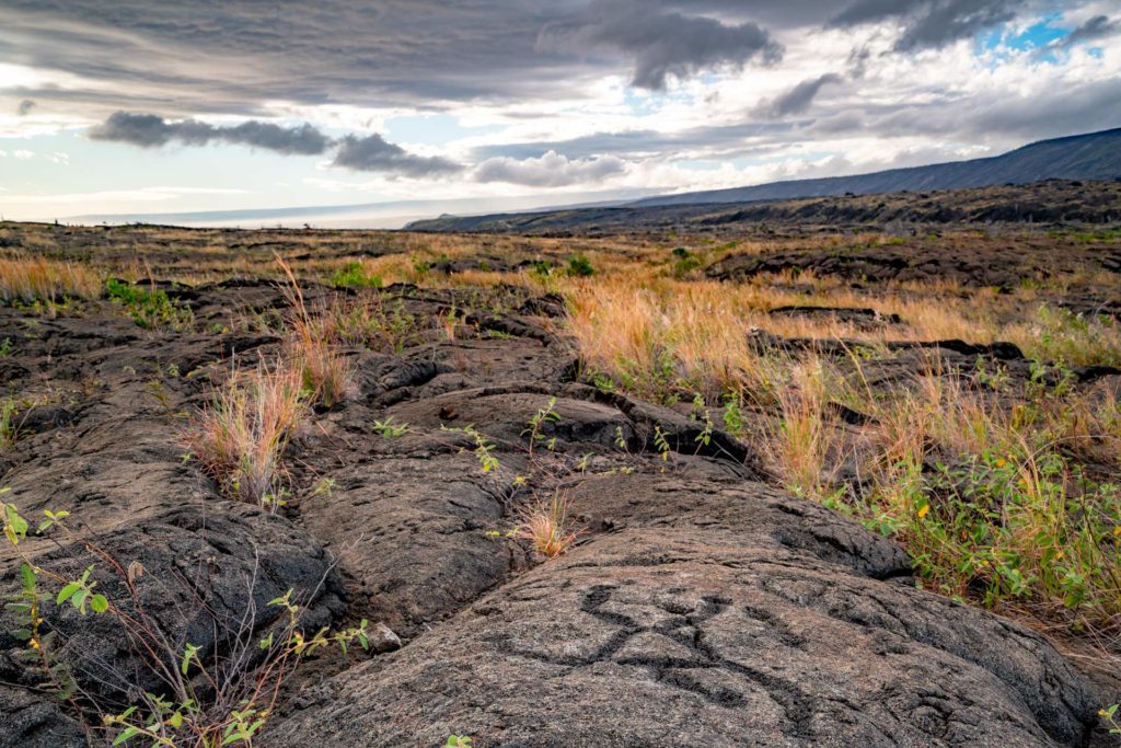 Pu`u Loa Petroglyphs hawaii volcanoes national park
