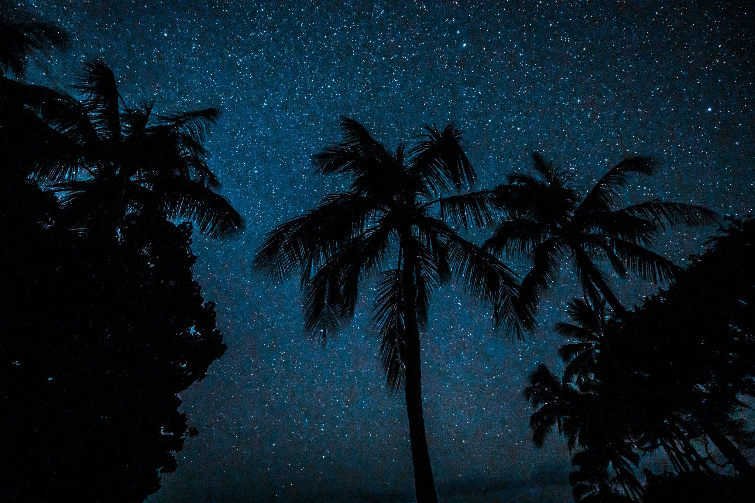 Night Skies Over Haleakala maui, hawaii