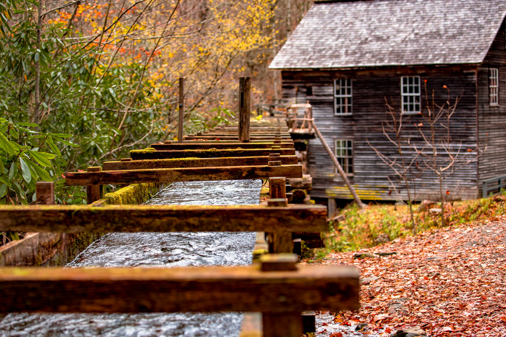 15 Things to Do in Great Smoky Mountains NP