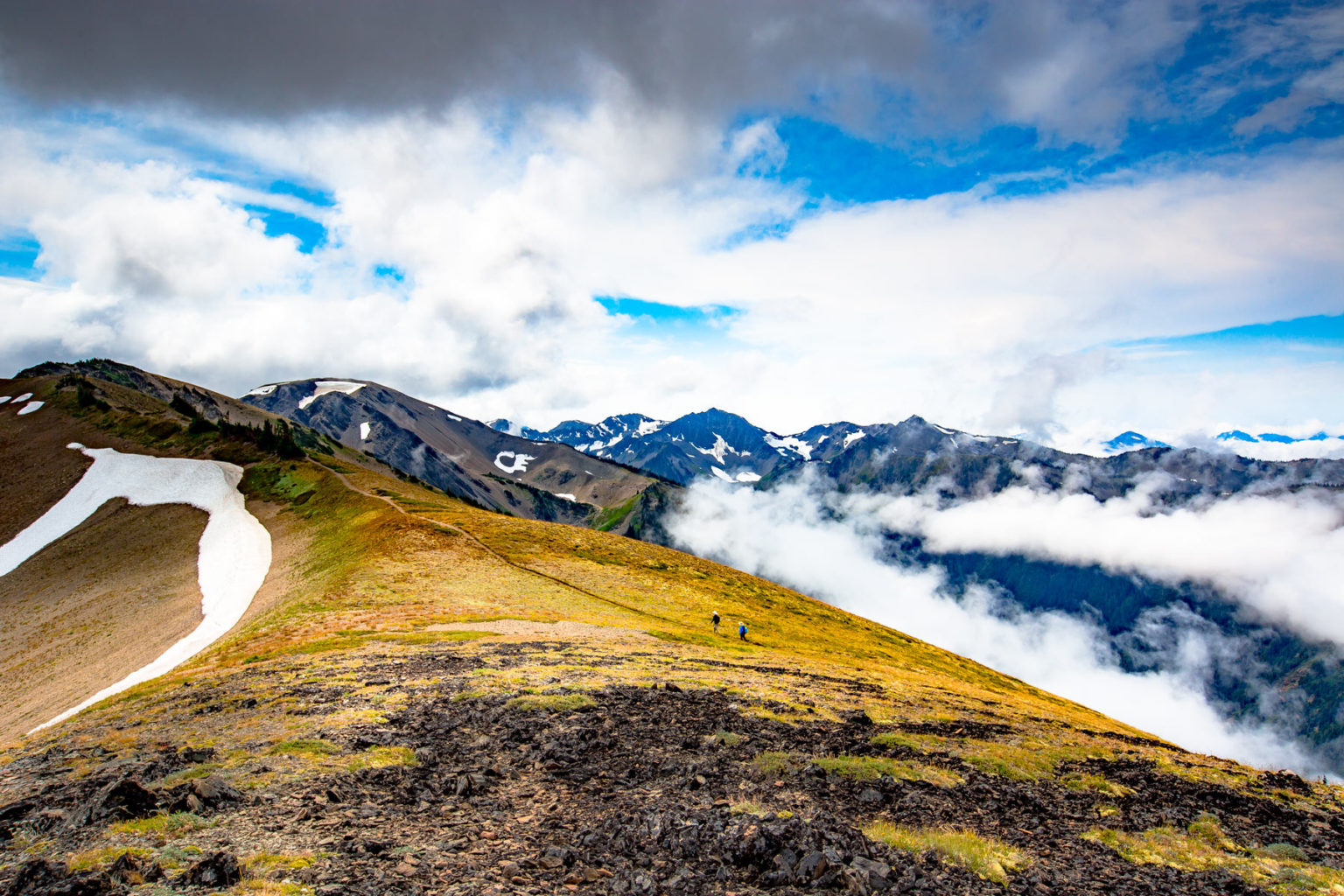 Olympic national park best hikes reddit