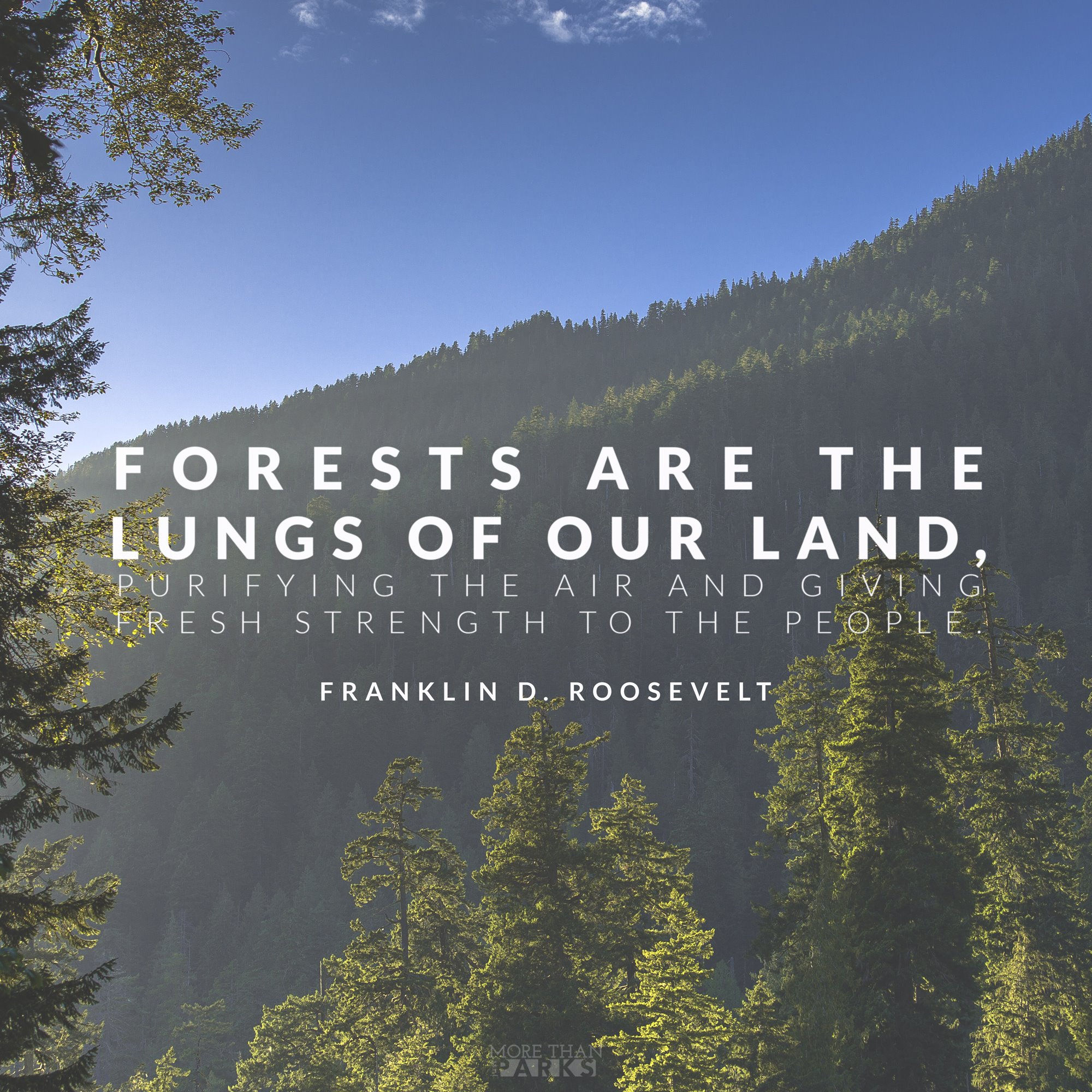 environmental quotes conservation quotes, FDR Quotes
