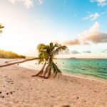 9 Best National Parks to Escape Winter (Ranked by Experts)