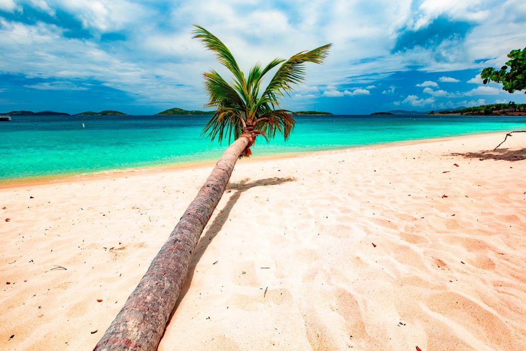 honeymoon beach st john virgin islands national park palm trees