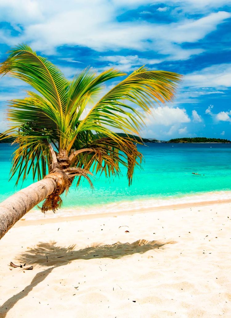 honeymoon beach st john virgin islands national park palm trees