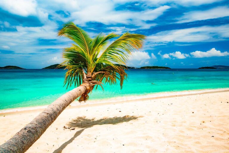 honeymoon beach st john virgin islands national park palm trees