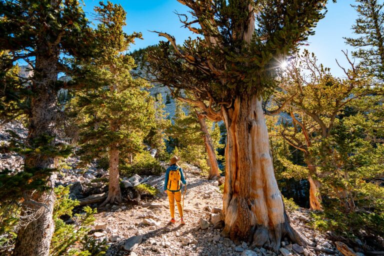 great basin national park nevada