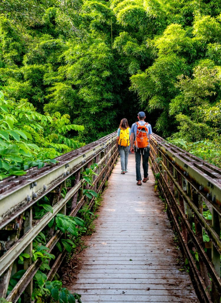 20 AMAZING Things to Do in Haleakala National Park (+ Photos)