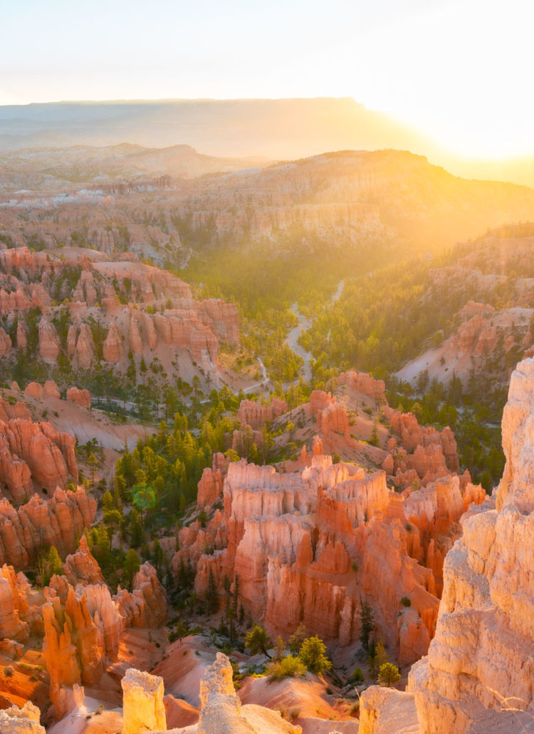 15 SURPRISING Facts About Bryce Canyon National Park