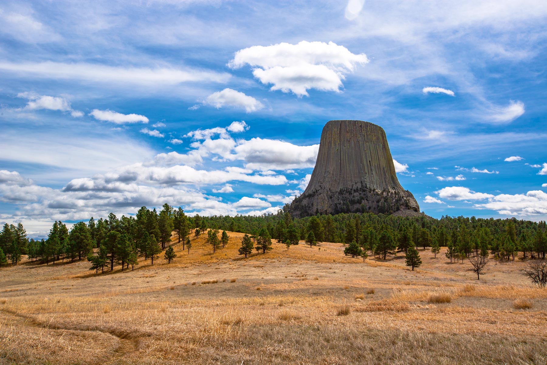 mount rushmore to yellowstone, devils tower national monument, national parks in the movies