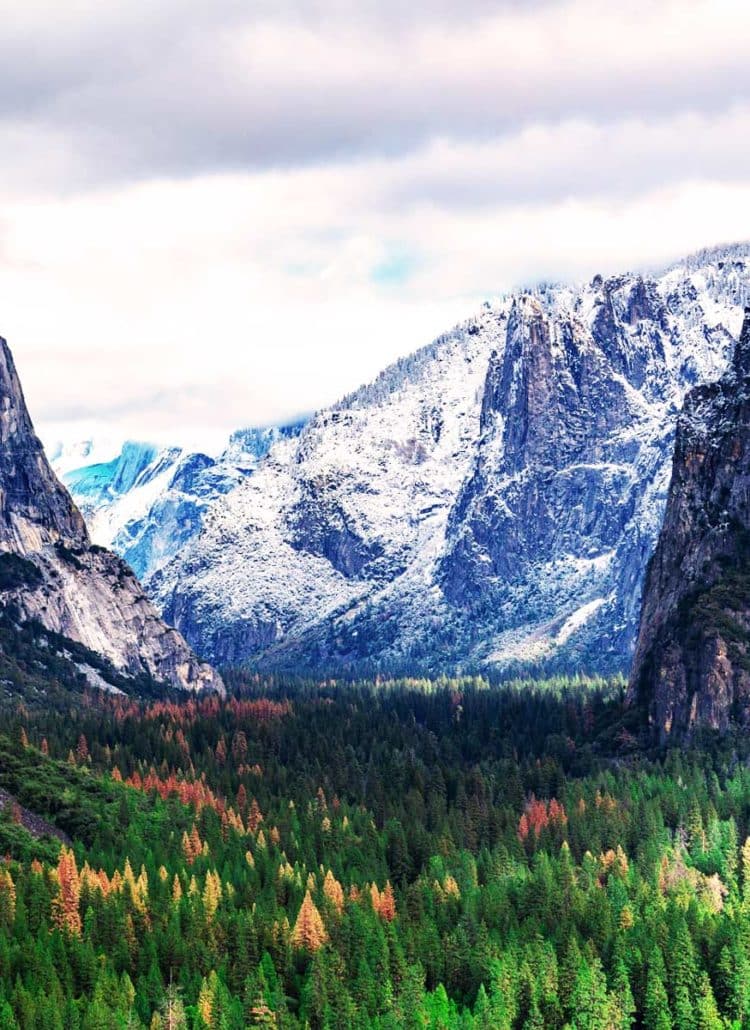 10 (SHOCKING) Yosemite Facts That Will Change How You View the Park