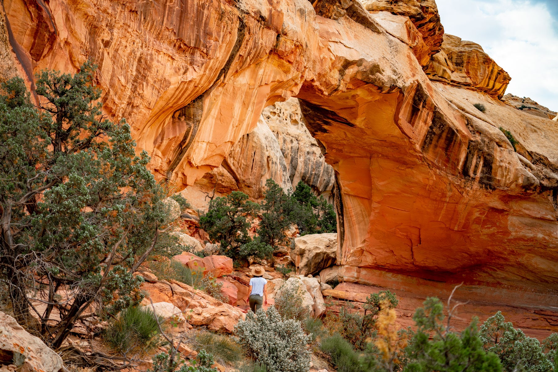 15 AMAZING Things to Do in Capitol Reef National Park (+ Photos)
