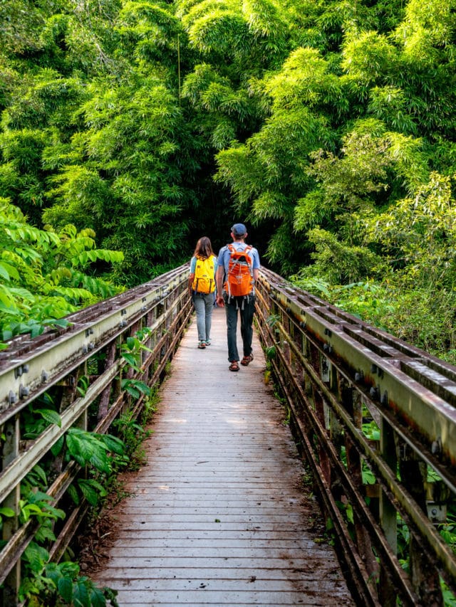 10 AMAZING Things to Do in Haleakala National Park