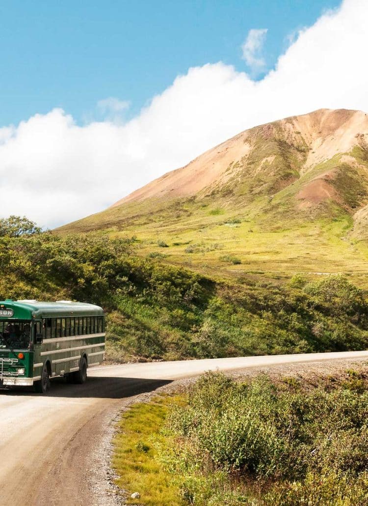 denali national park alaska bus tour