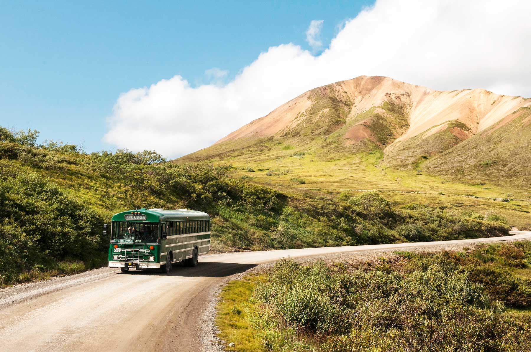 denali national park alaska bus tour