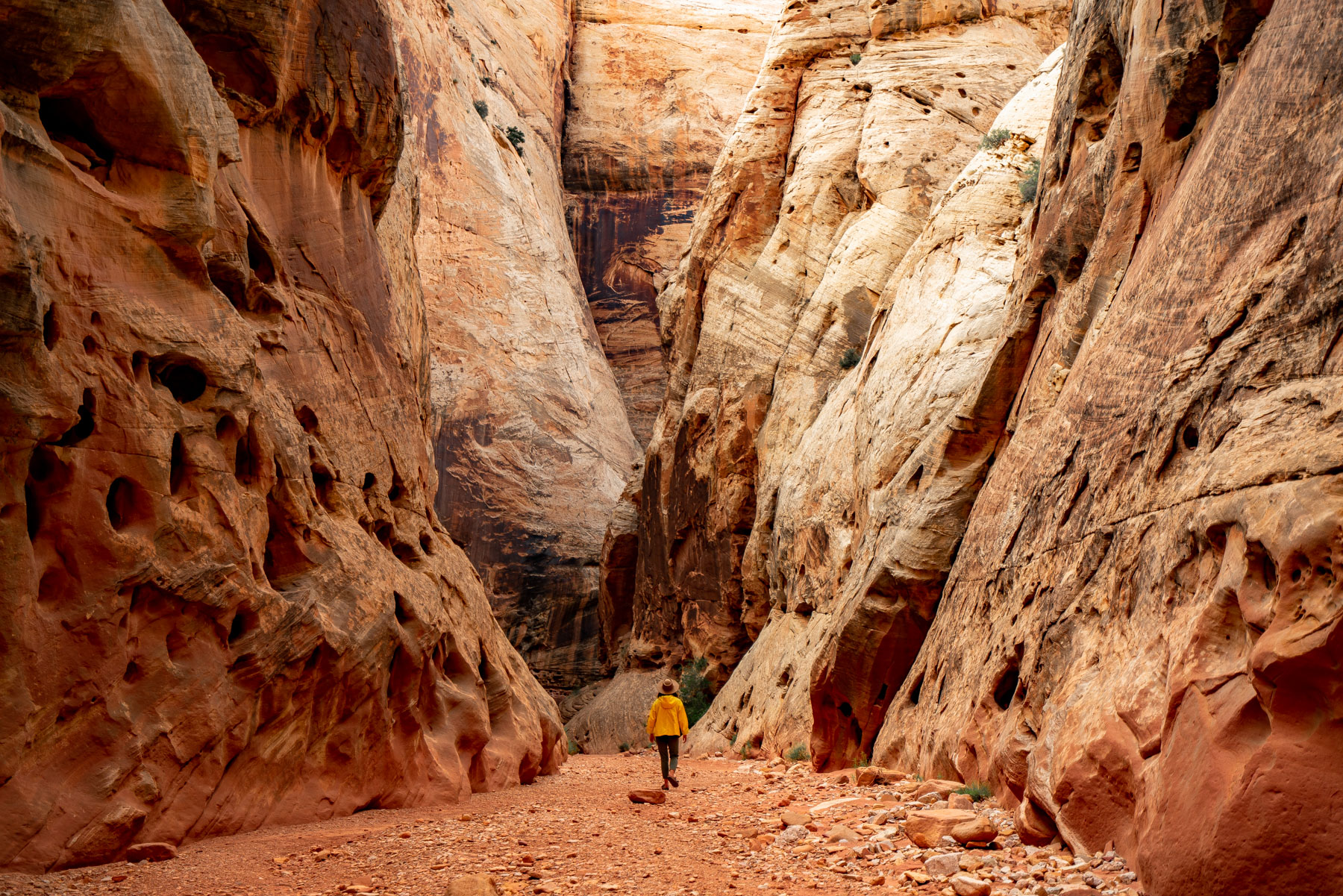 Grand Wash at Capitol Reef National Park | Best National Parks To Escape The Crowds