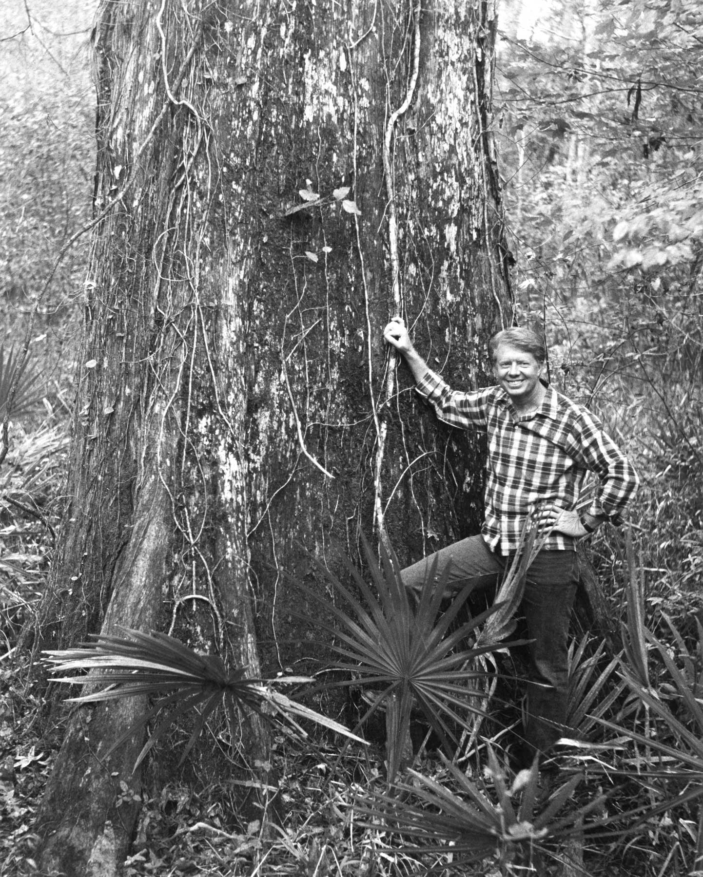 jimmy carter greatest conservationist president championed environmental activism.