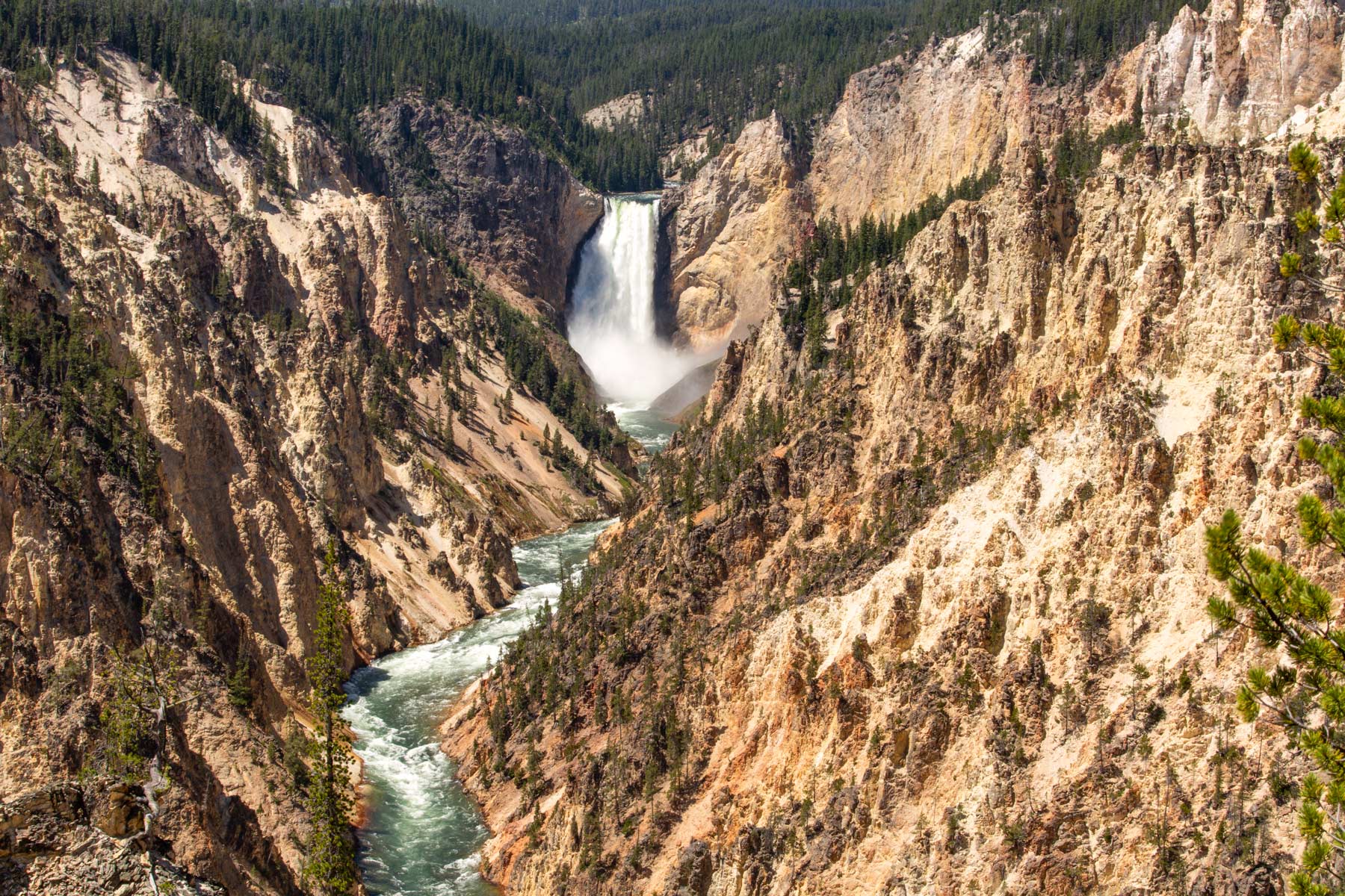 yellowstone national park, most visited national parks
