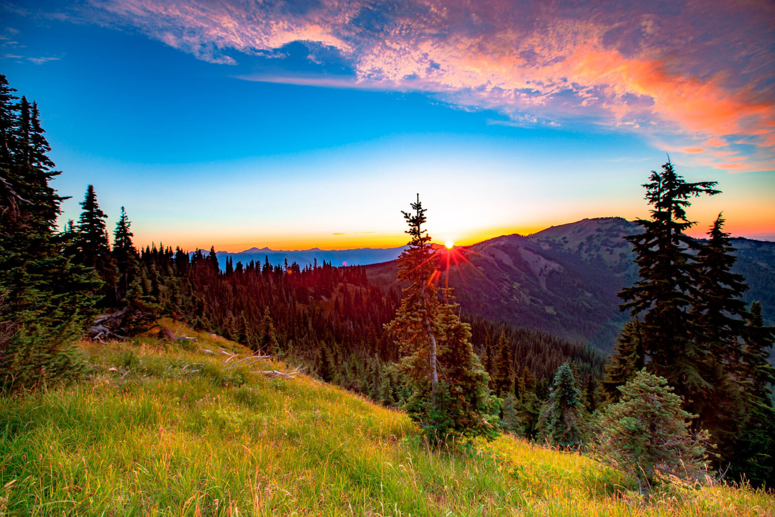 The sun setting behind a ridge of the Olympic Mountains from Hurricane Ridge, pink clouds overhead and a subalpine meadow in the foreground.