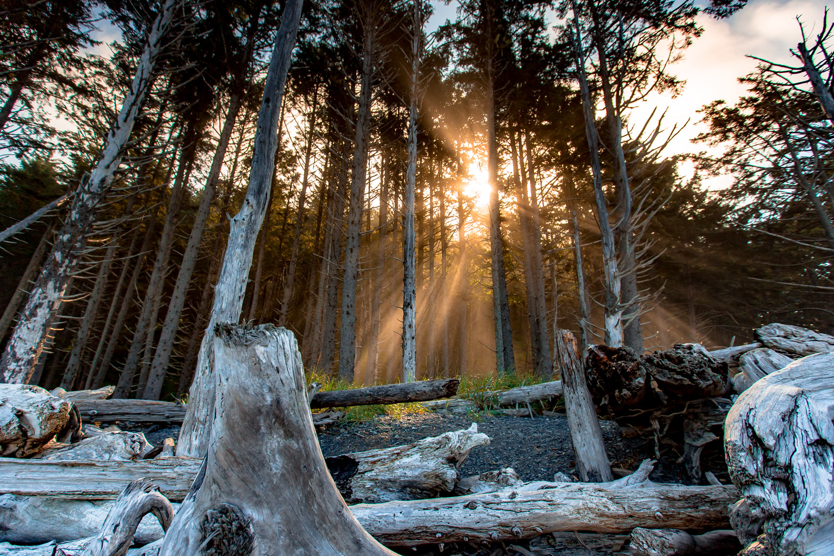 Olympic National Park Top Things To Do