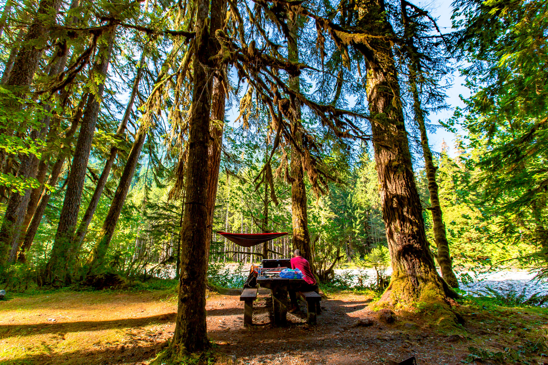 queets camping olympic national park washington