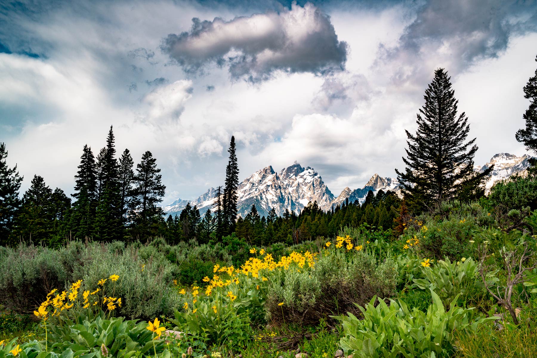 grand teton national park wyoming weather and seasons, best time to visit grand teton national park