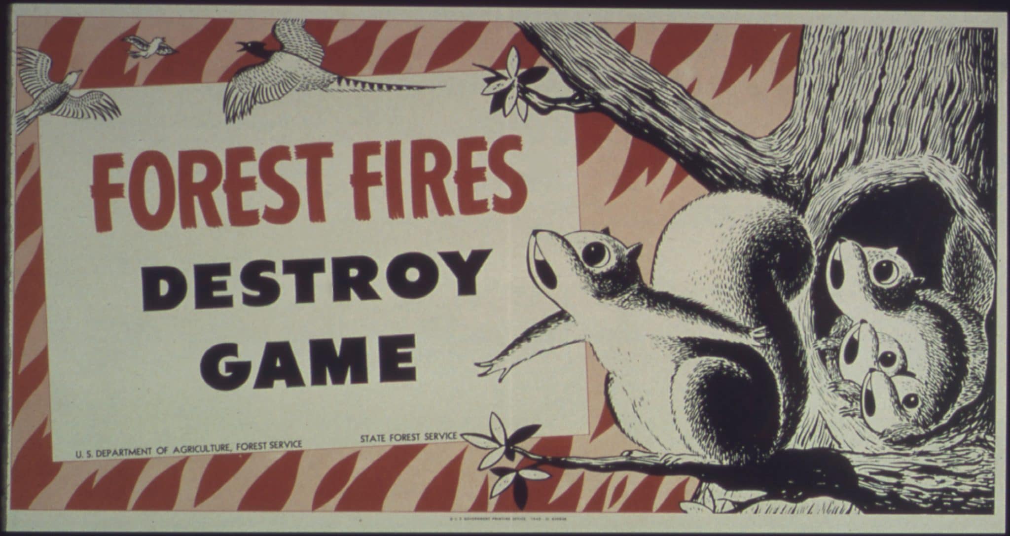 Civilian Conservation Corps: The Story of America's First Green New Deal