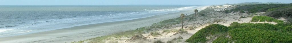 America's Greenest President lent his support, as governor, to the creation of the Cumberland Island National Seashore.