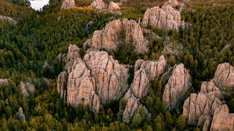 black hills national forest south dakota
