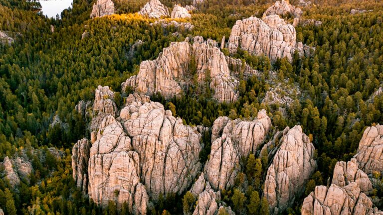 black hills national forest south dakota