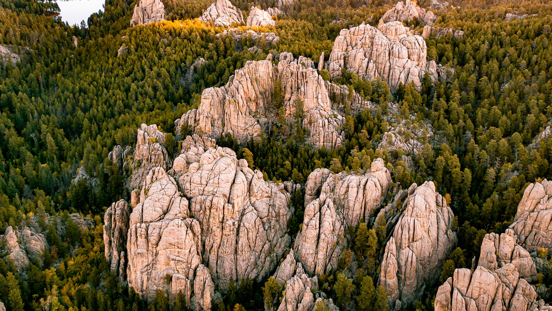 A (VERY) Helpful Guide to the Black Hills National Forest [Photos + Video]
