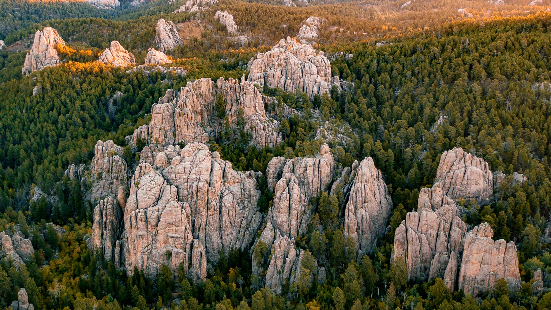 best road trips usa, black hills national forest south dakota, peter norbeck scenic byway