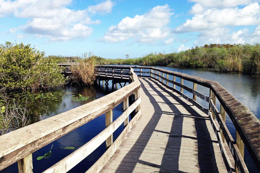 Anhinga Trail, Everglades National Park | National Parks Near Miami