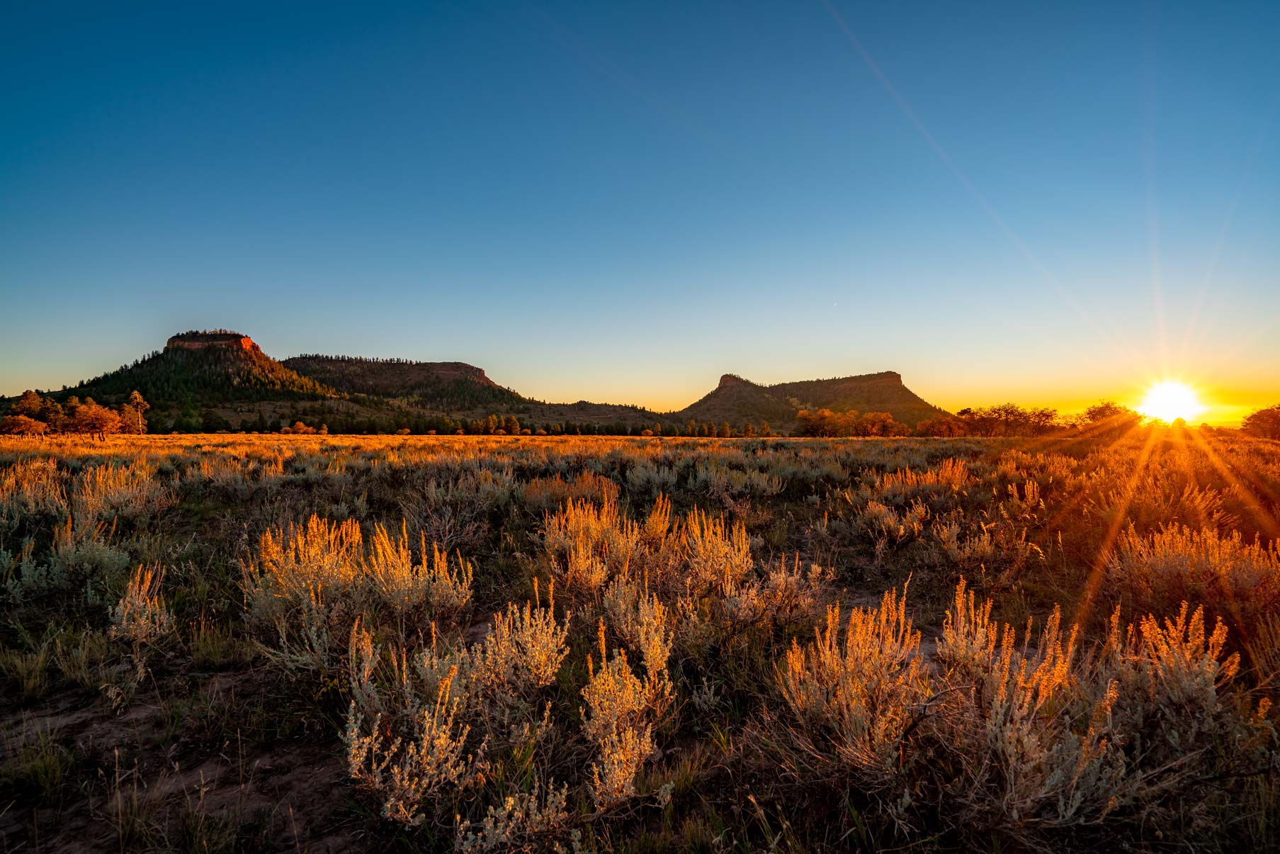 Bears Ears National Monument