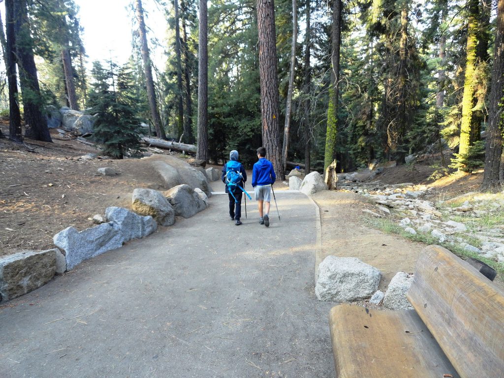 There are some incredible hiking trails in Sequoia and Kings Canyon National Parks | General Sherman Tree