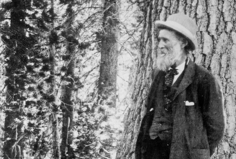 John Muir took up the fight to preserve and protect America's public lands | John Muir Facts