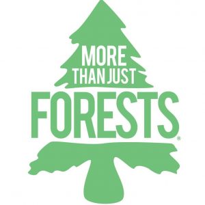 more than just forests logo