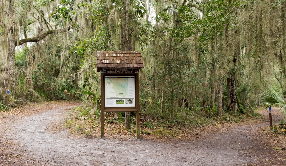Florida National Parks