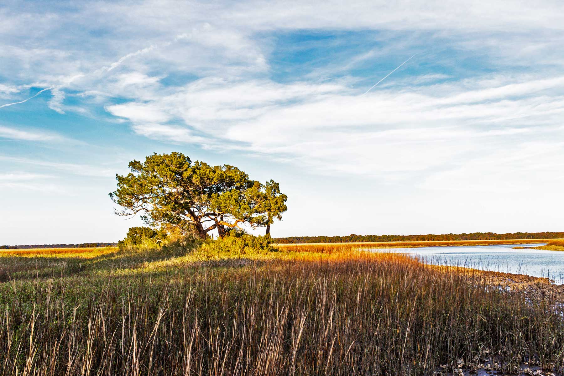 Timucuan Ecological & Historic Preserve | National Parks Near Orlando
